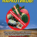 «Наркотики: выход есть!» «Наркотики: выход есть!»