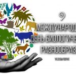 22 мая- Международный День биологического разнообразия. 22 мая- Международный День биологического разнообразия.