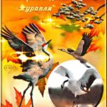Всемирный день журавля Всемирный день журавля