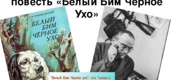Час раскрытой книги: Г.Н. Троепольский «Белый Бим Чёрное ухо»