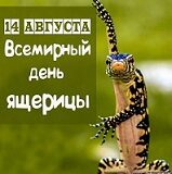 Всемирный день ящерицы