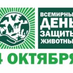 Имеют право на защиту Имеют право на защиту