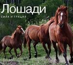 Лошади бывают разные