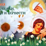 Одной ромашки лепестки. Одной ромашки лепестки.