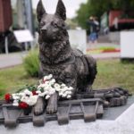 «И все они создания природы!» «И все они создания природы!»