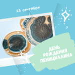 Плесень служит человеку. Плесень служит человеку.