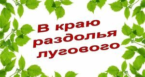 В краю раздолья лугового