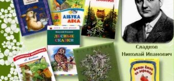 Планета чудес