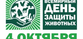 Имеют право на защиту